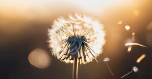 Tatuaż dmuchawiec znaczenie: lekkość, marzenia i wolność